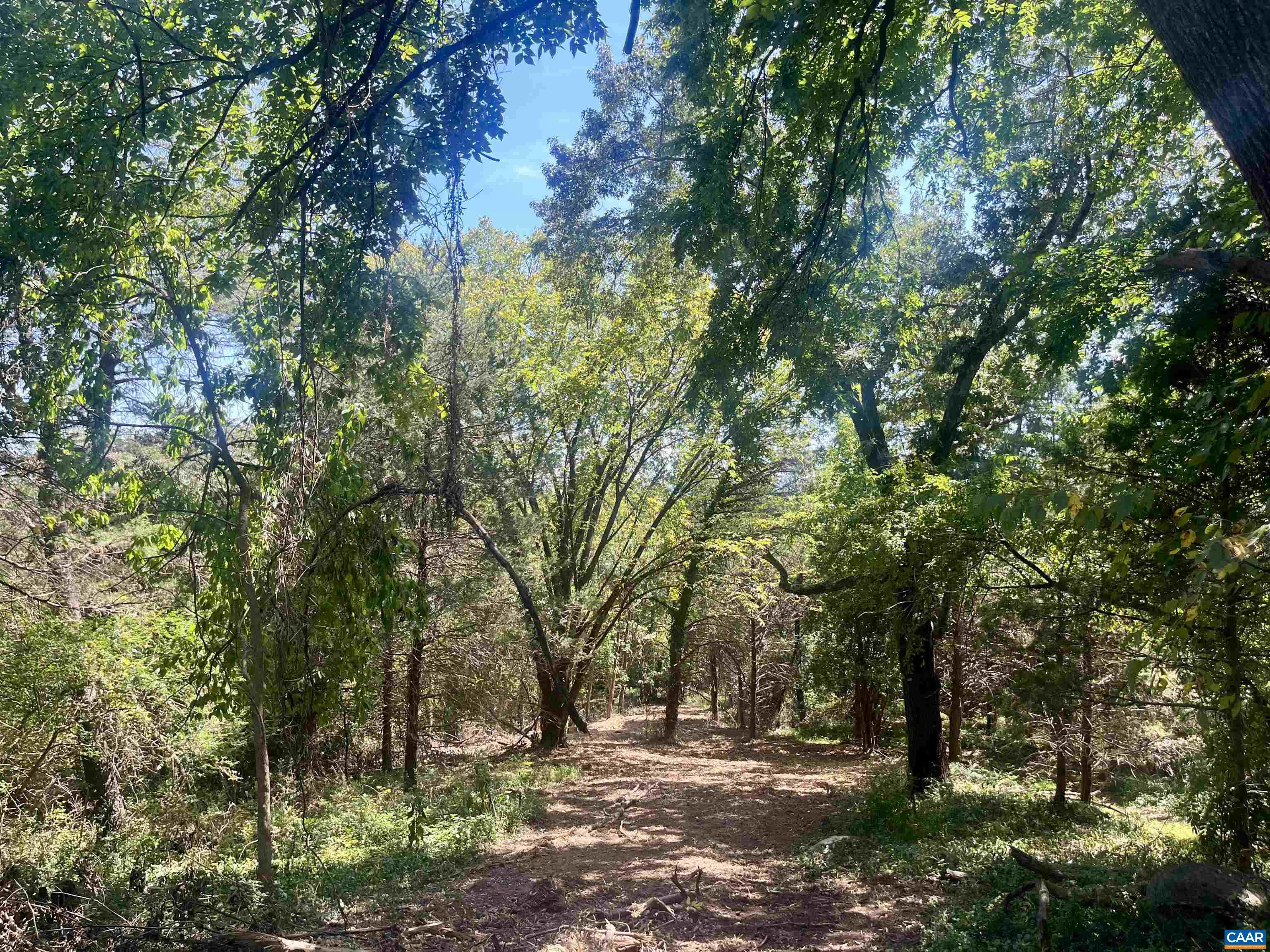 1630 Buck Road Crozet, VA 22932 - Photo 23 of 30 a view of outdoor space and trees