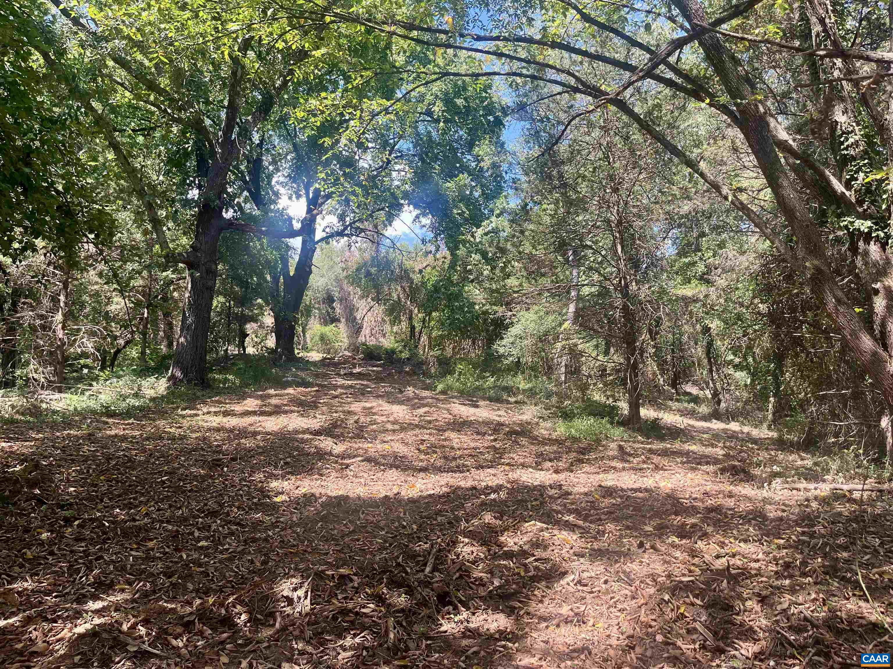 1630 Buck Road Crozet, VA 22932 - Photo 24 of 30 a view of a yard with a tree
