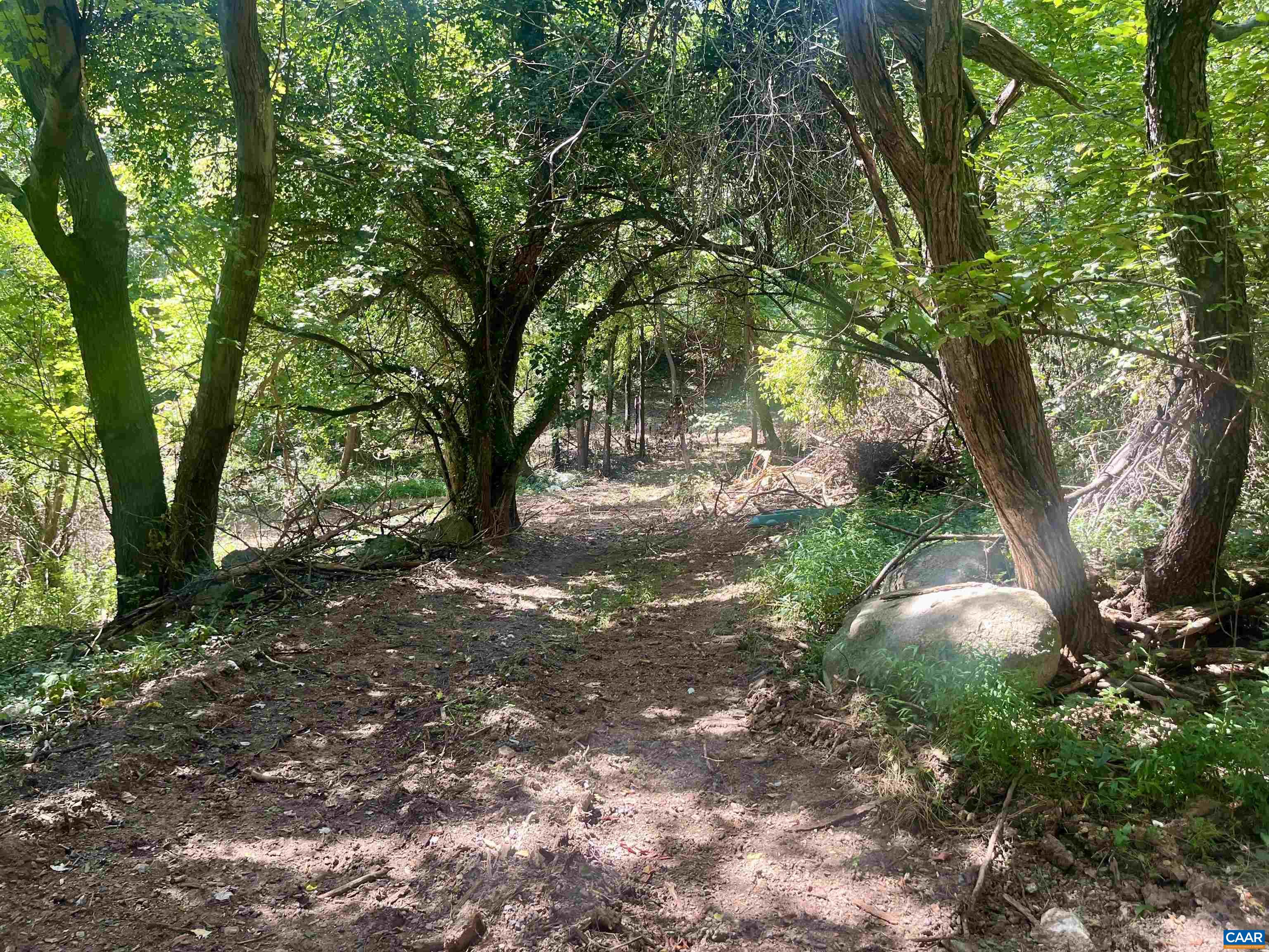 1630 Buck Road Crozet, VA 22932 - Photo 25 of 30 a view of an outdoor space with yard
