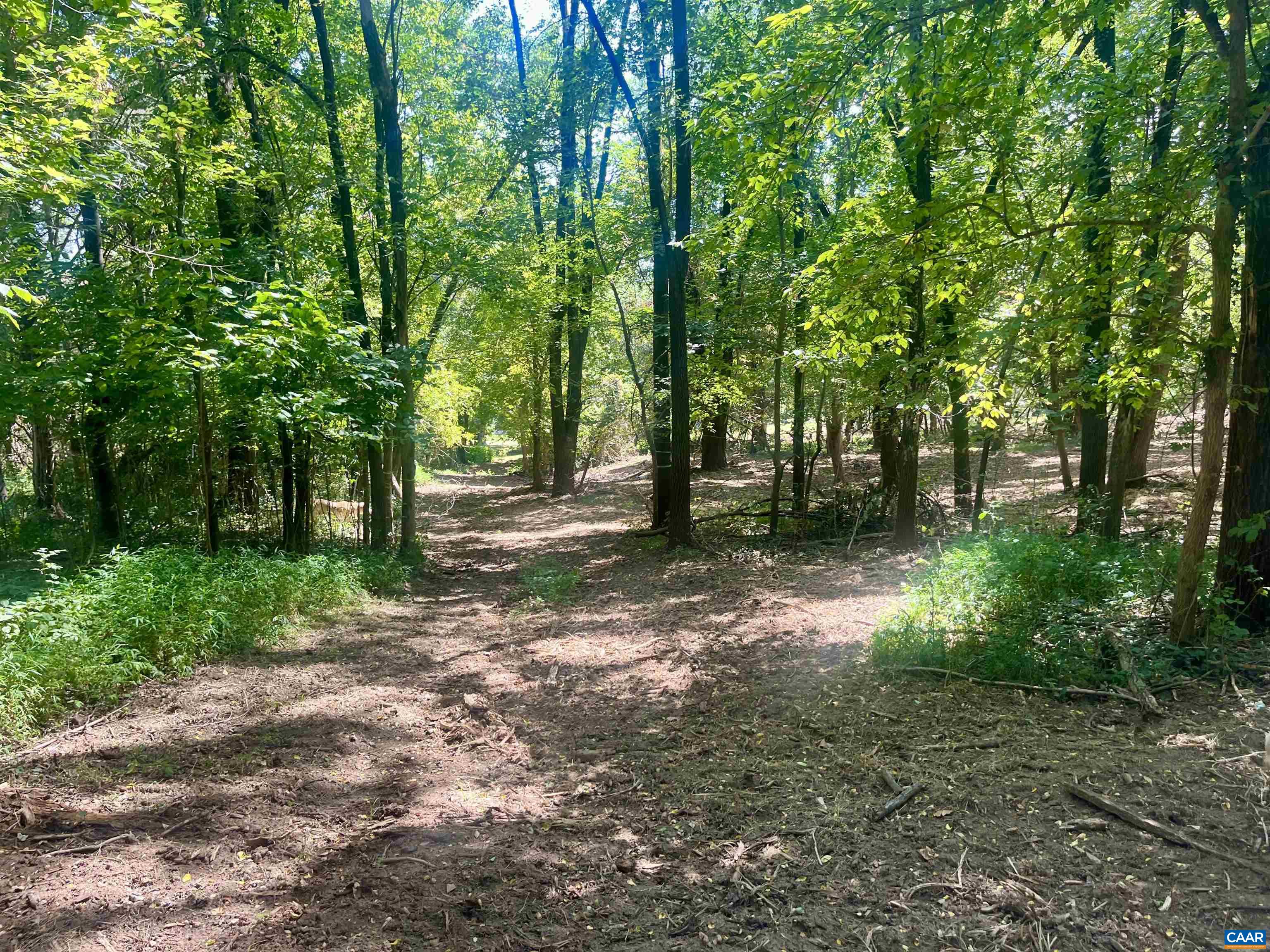 1630 Buck Road Crozet, VA 22932 - Photo 27 of 30 a view of backyard with green space