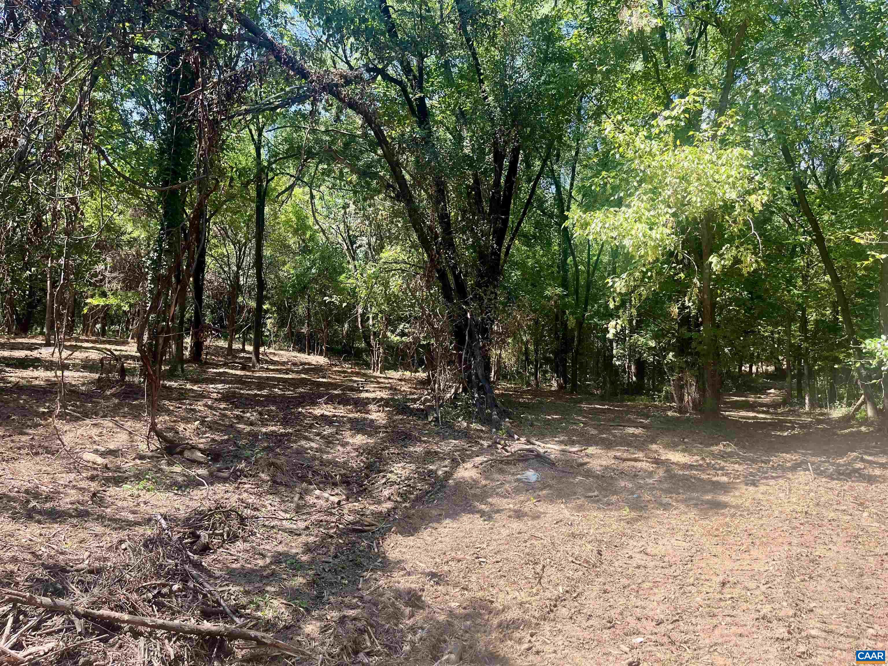 1630 Buck Road Crozet, VA 22932 - Photo 28 of 30 a view of outdoor space with trees