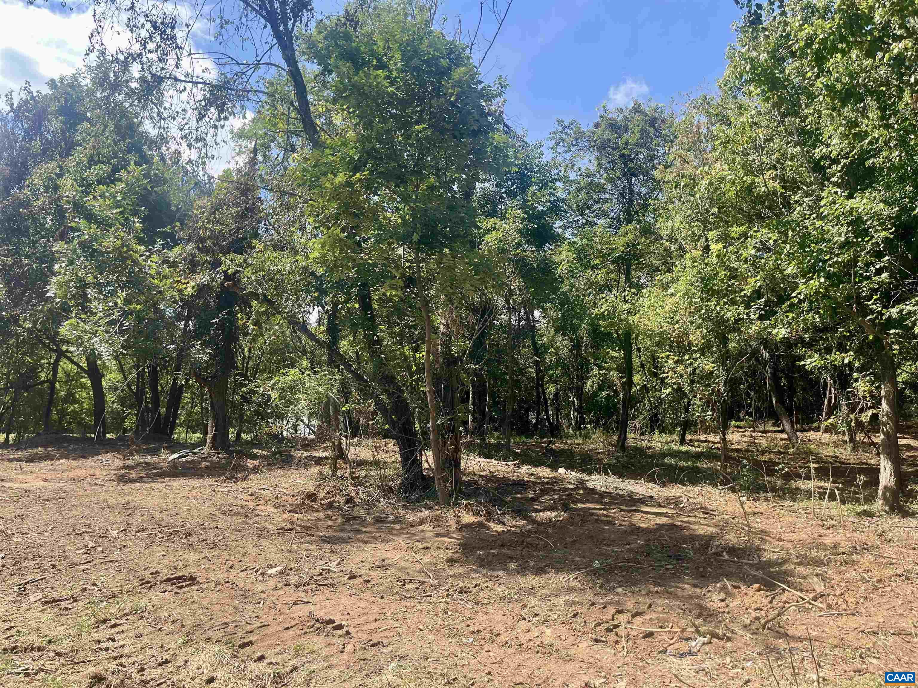 1630 Buck Road Crozet, VA 22932 - Photo 29 of 30 a view of outdoor space with trees