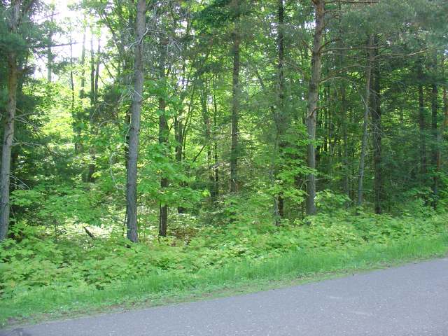 On Harris Lake Road Presque Isle, WI 54557 - Photo 1 of 4 Gallery Image 1