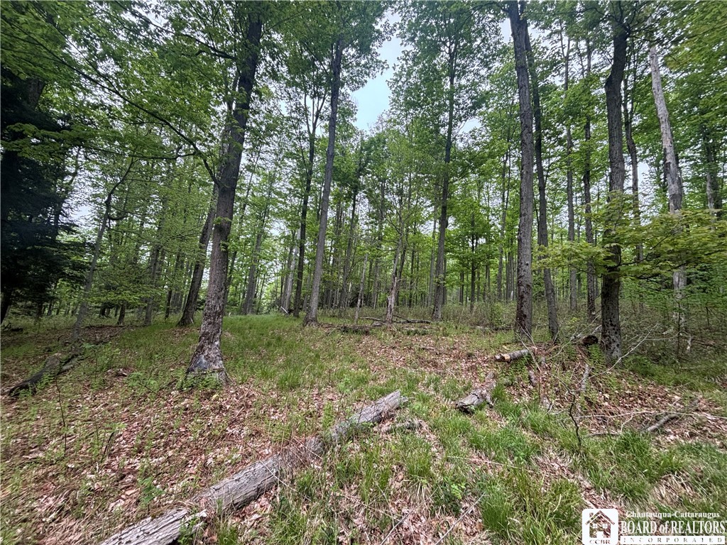 Fulmer Valley Road Wellsville, NY 14895 - Photo 29 of 49