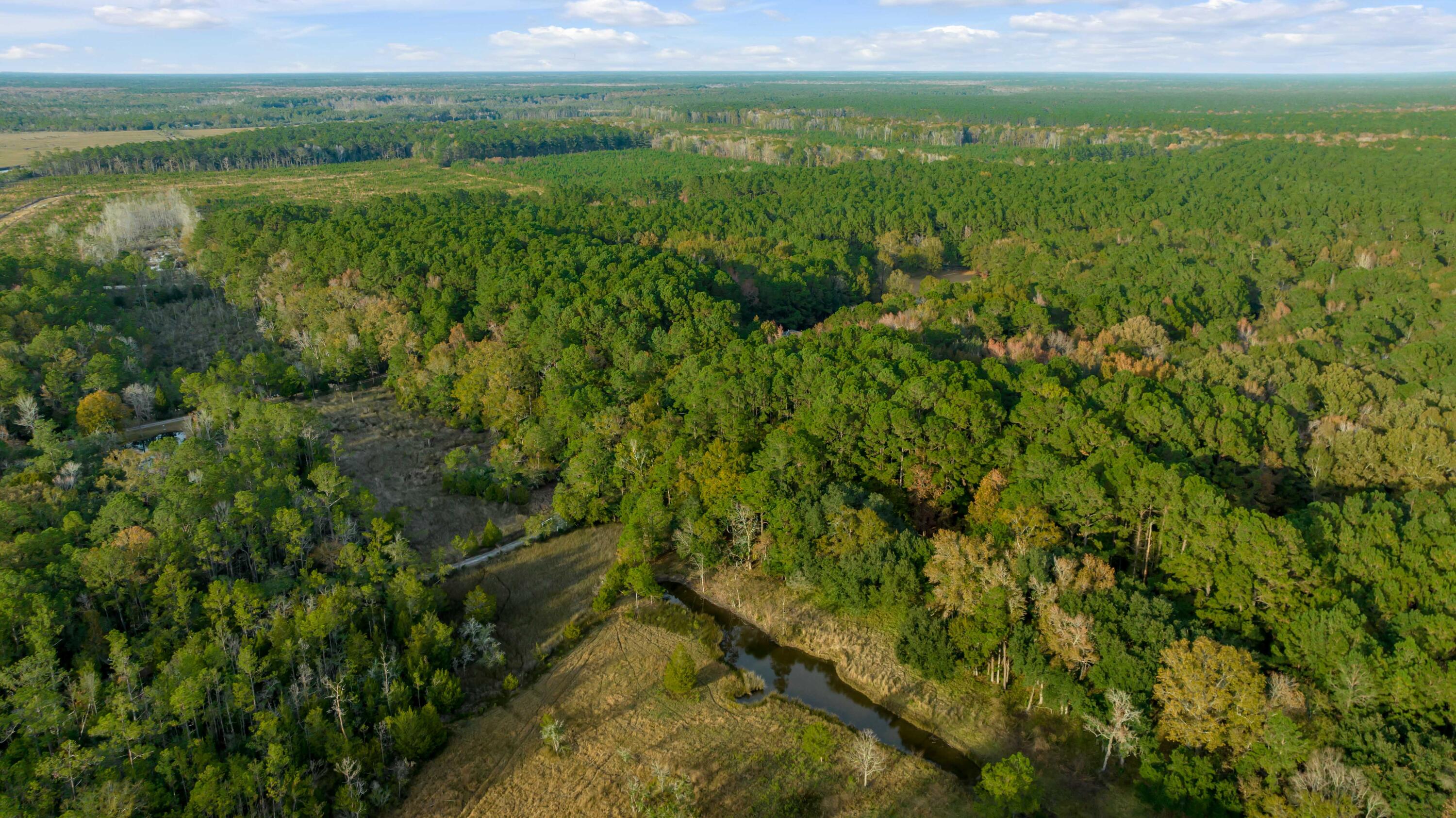 1225 State Rd S-10-98 Awendaw, SC 29429 - Photo 13 of 84 Aerial View