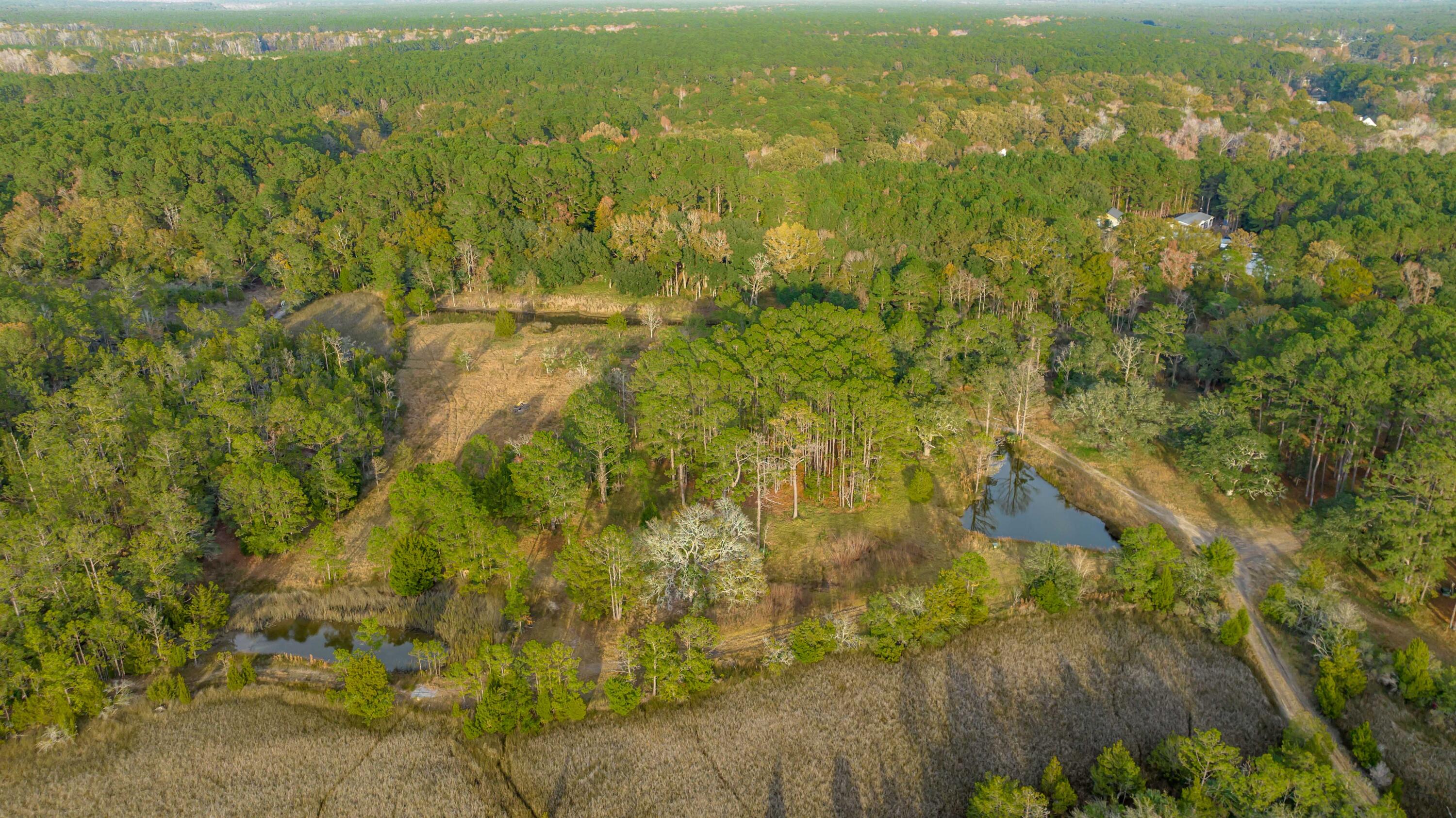 1225 State Rd S-10-98 Awendaw, SC 29429 - Photo 22 of 84 Aerial View