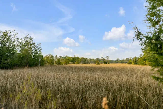 $2,375,000 | 1225 State Rd S-10-98, Awendaw, SC 29429