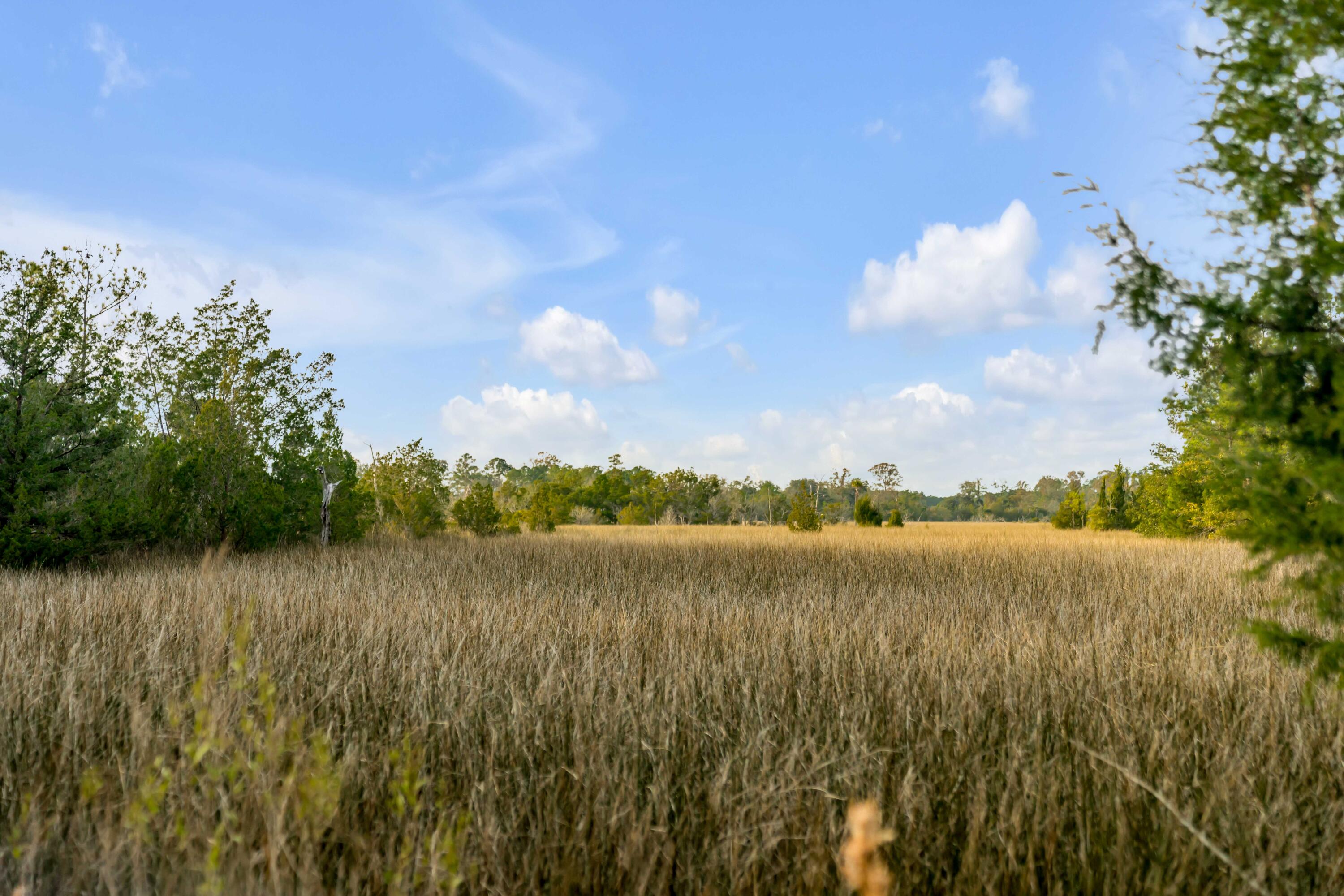 1225 State Rd S-10-98 Awendaw, SC 29429 - Photo 23 of 84 1225 Guerins Bridge Road