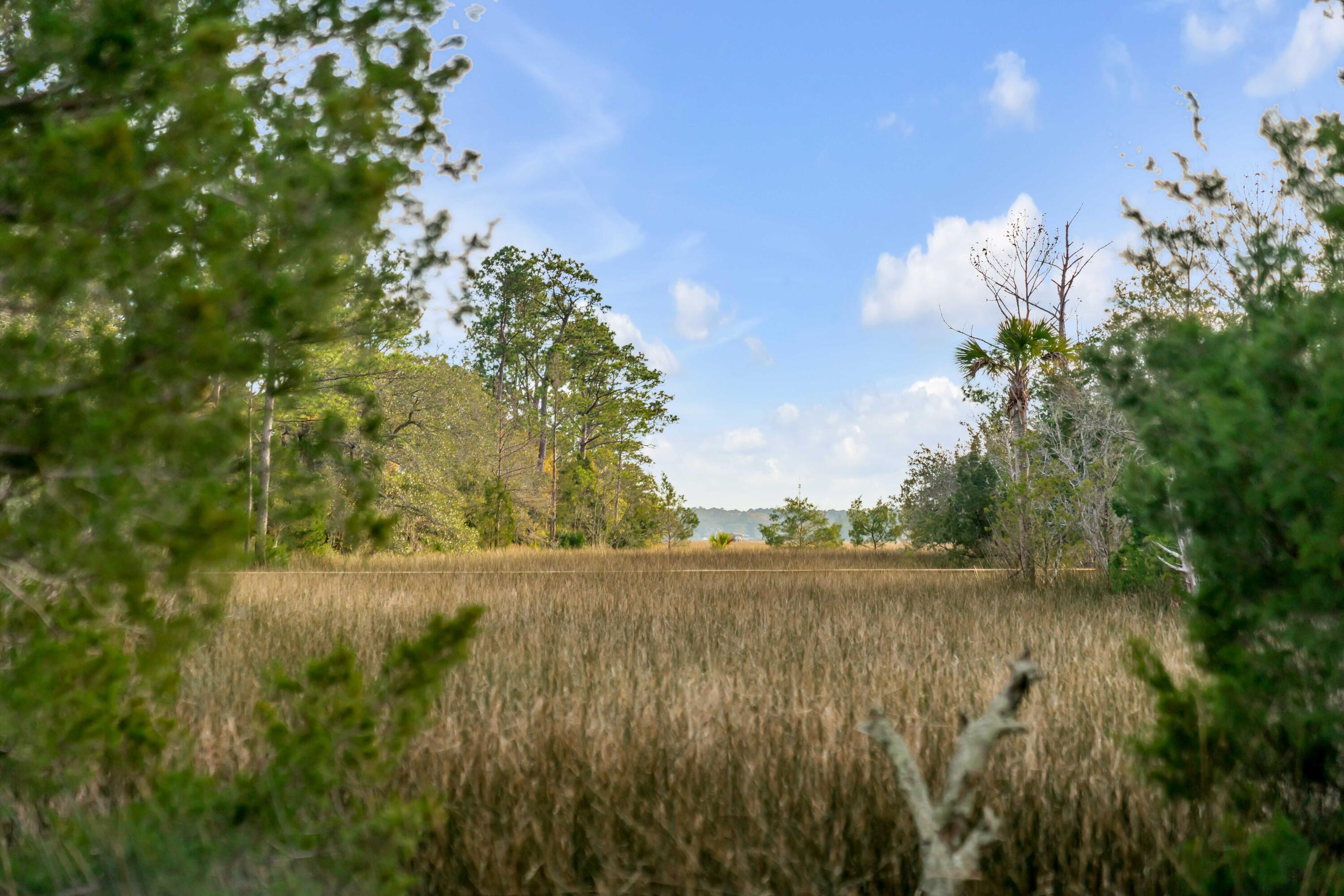 1225 State Rd S-10-98 Awendaw, SC 29429 - Photo 24 of 84 1225 Guerins Bridge Road