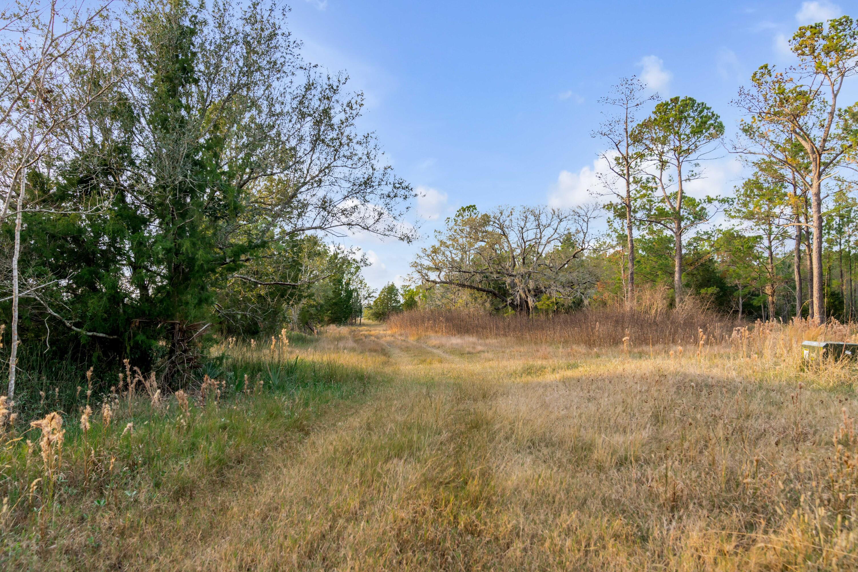 1225 State Rd S-10-98 Awendaw, SC 29429 - Photo 25 of 84 1225 Guerins Bridge Road