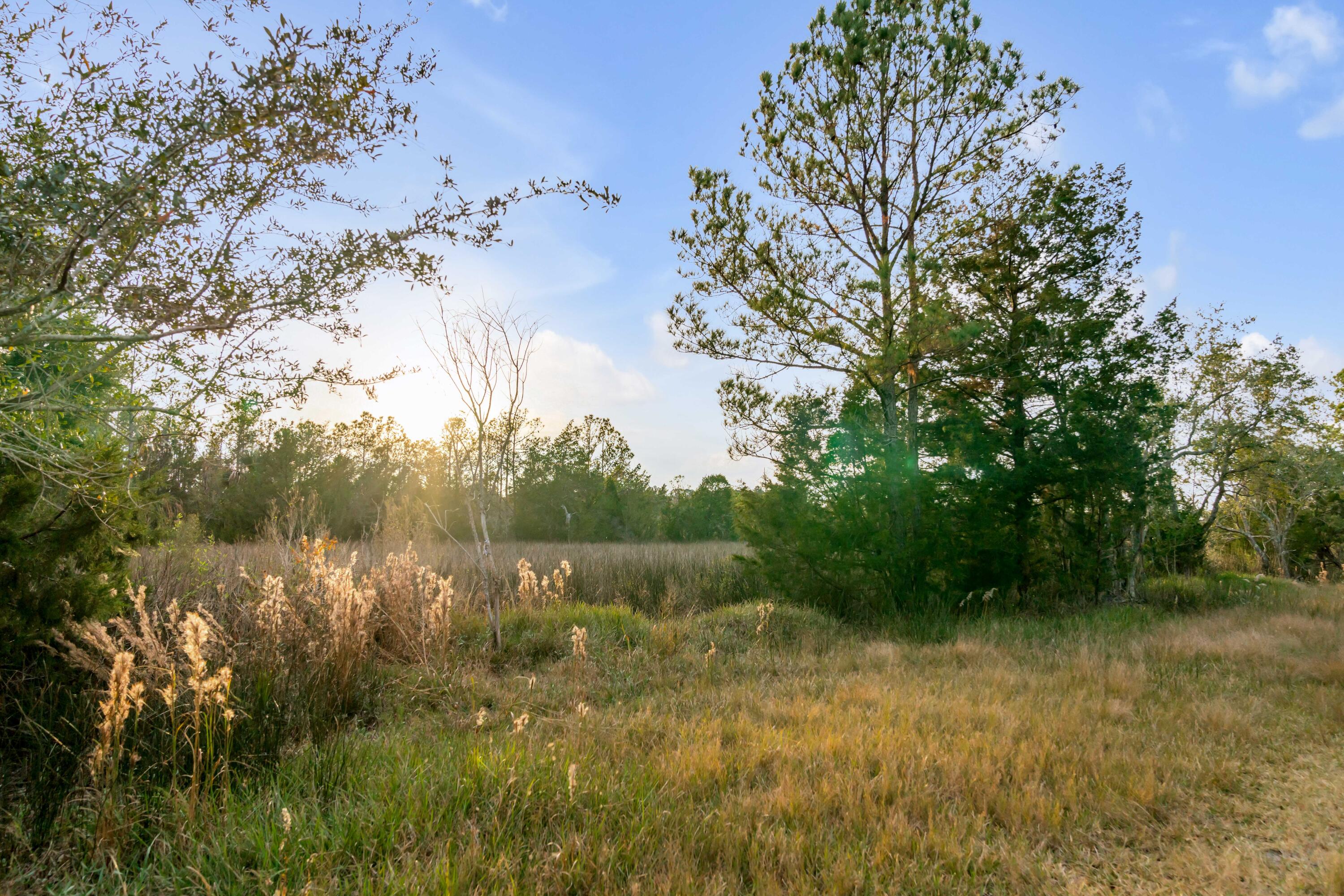 1225 State Rd S-10-98 Awendaw, SC 29429 - Photo 27 of 84 1225 Guerins Bridge Road