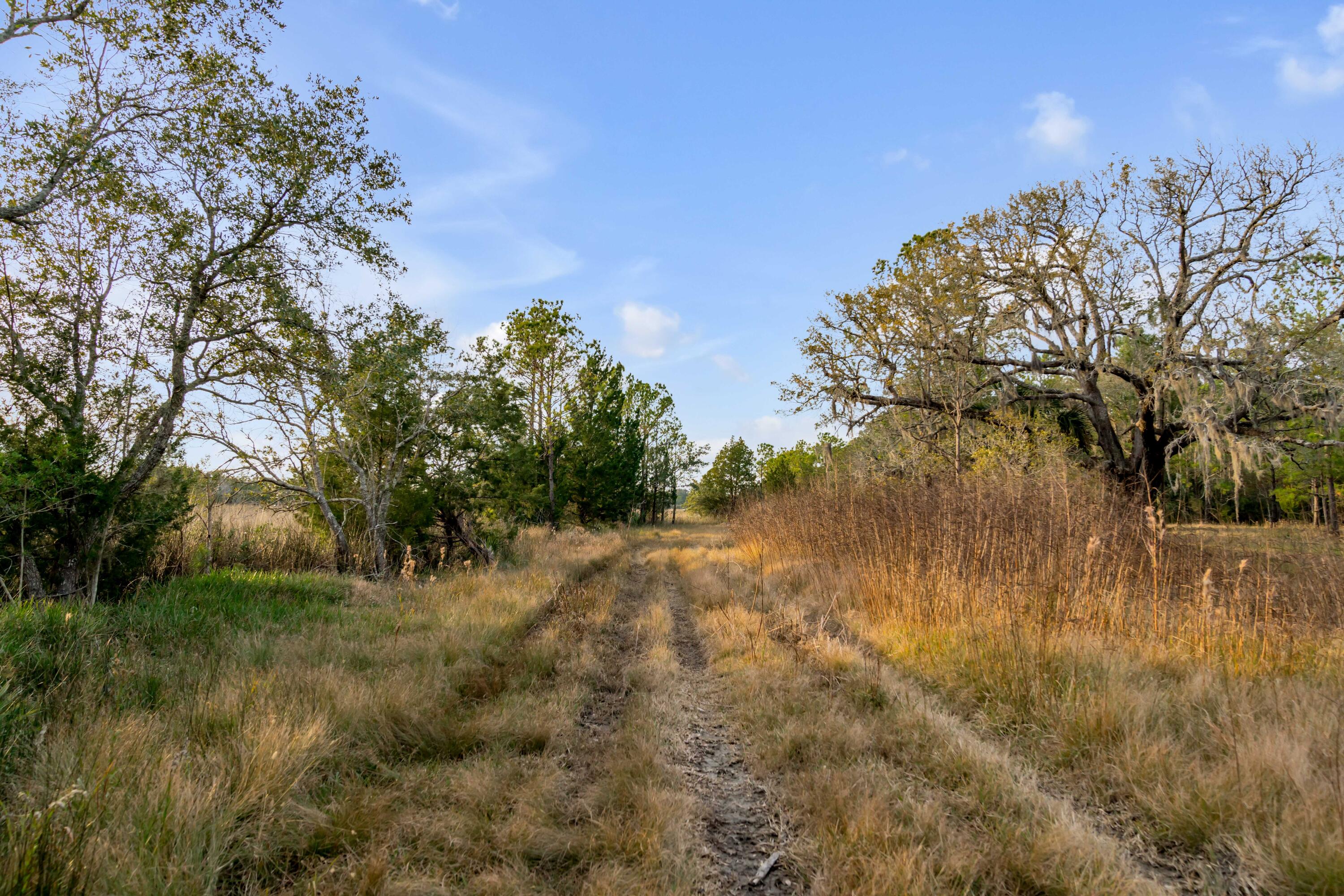 1225 State Rd S-10-98 Awendaw, SC 29429 - Photo 28 of 84 1225 Guerins Bridge Road