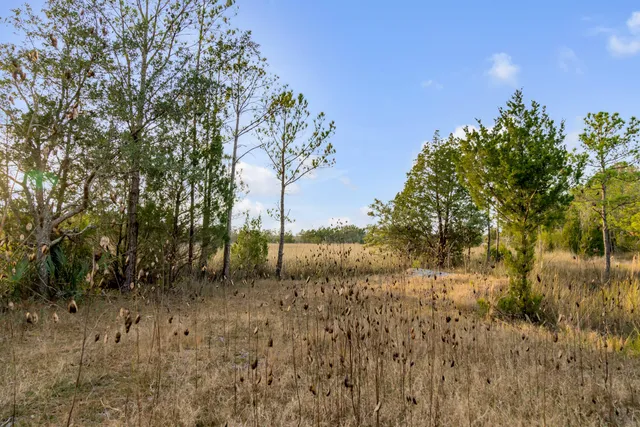 $2,375,000 | 1225 State Rd S-10-98, Awendaw, SC 29429