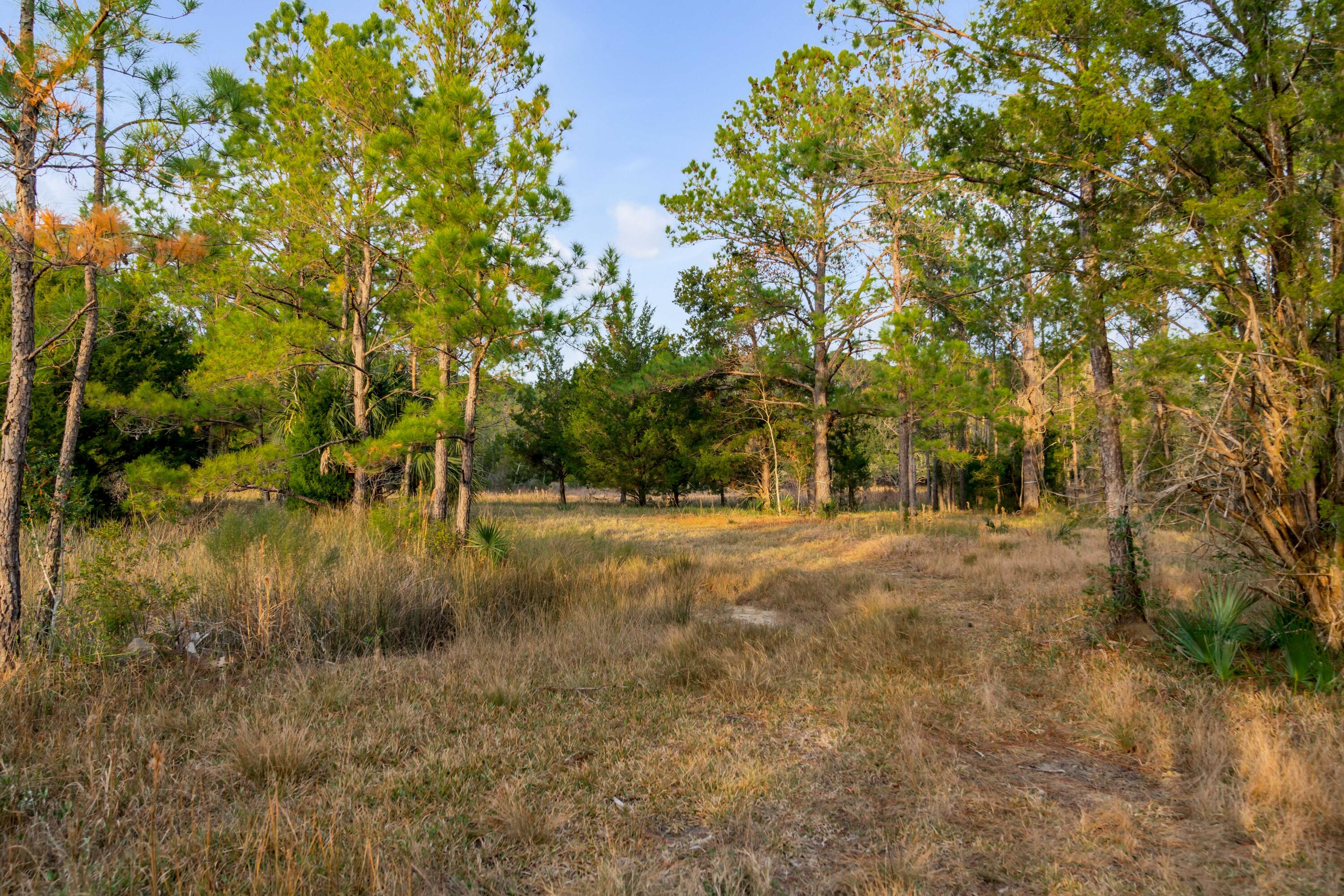 1225 State Rd S-10-98 Awendaw, SC 29429 - Photo 30 of 84 1225 Guerins Bridge Road