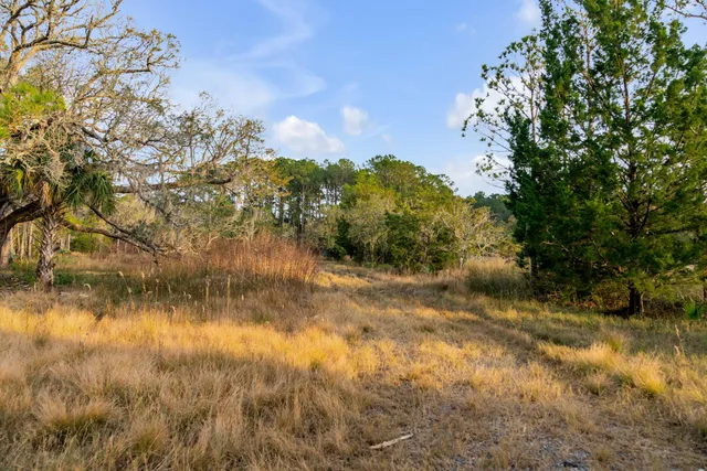 $2,375,000 | 1225 State Rd S-10-98, Awendaw, SC 29429