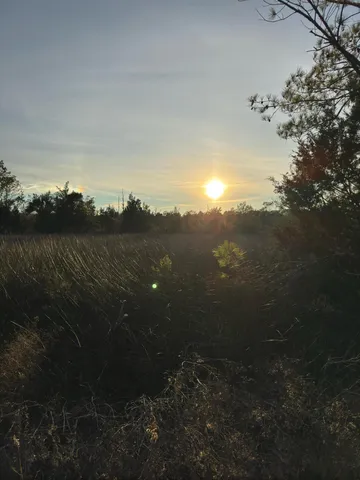 $2,375,000 | 1225 State Rd S-10-98, Awendaw, SC 29429