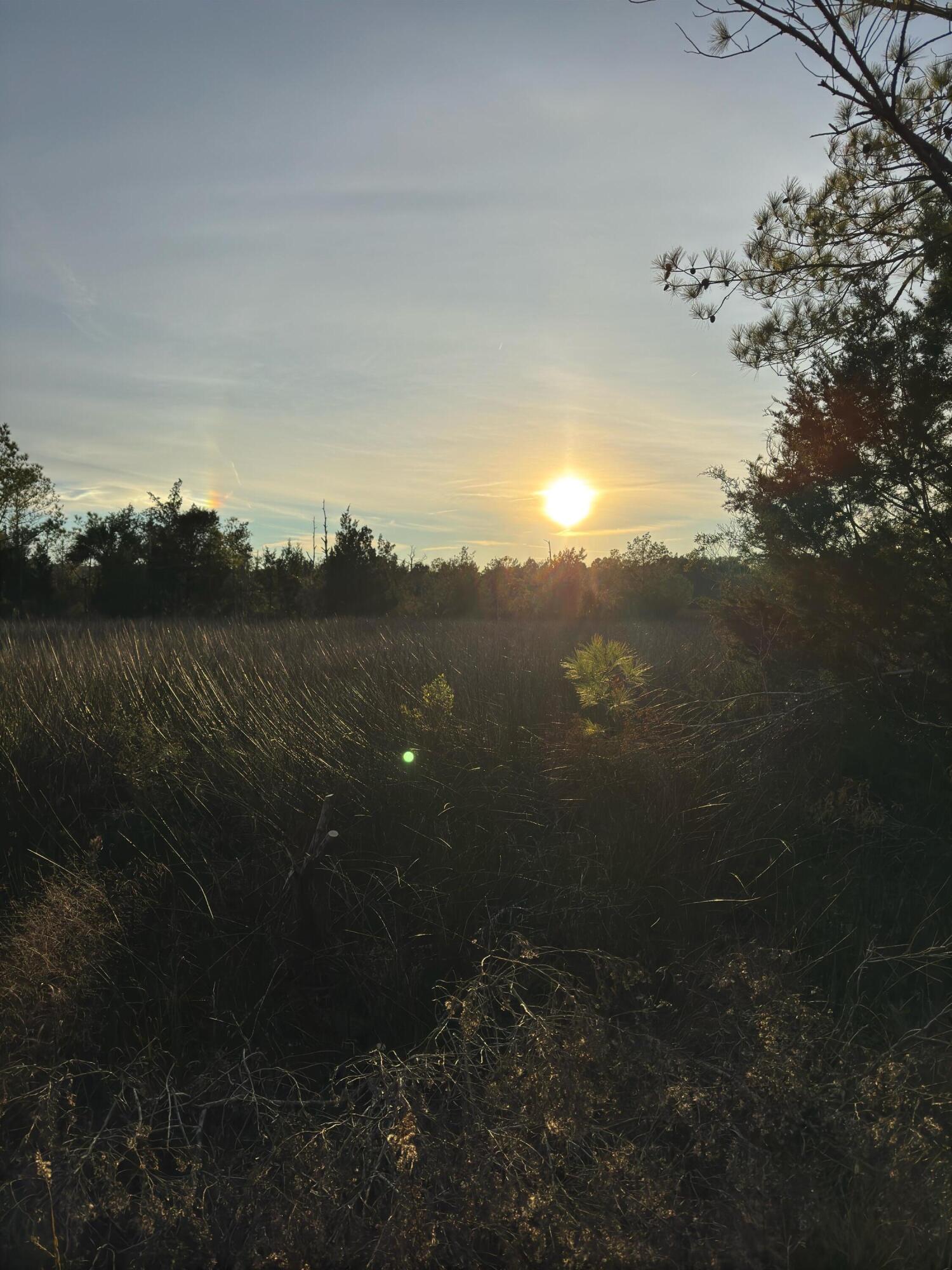 1225 State Rd S-10-98 Awendaw, SC 29429 - Photo 33 of 84 1225 Guerins Bridge Road