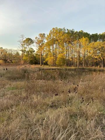 $2,375,000 | 1225 State Rd S-10-98, Awendaw, SC 29429