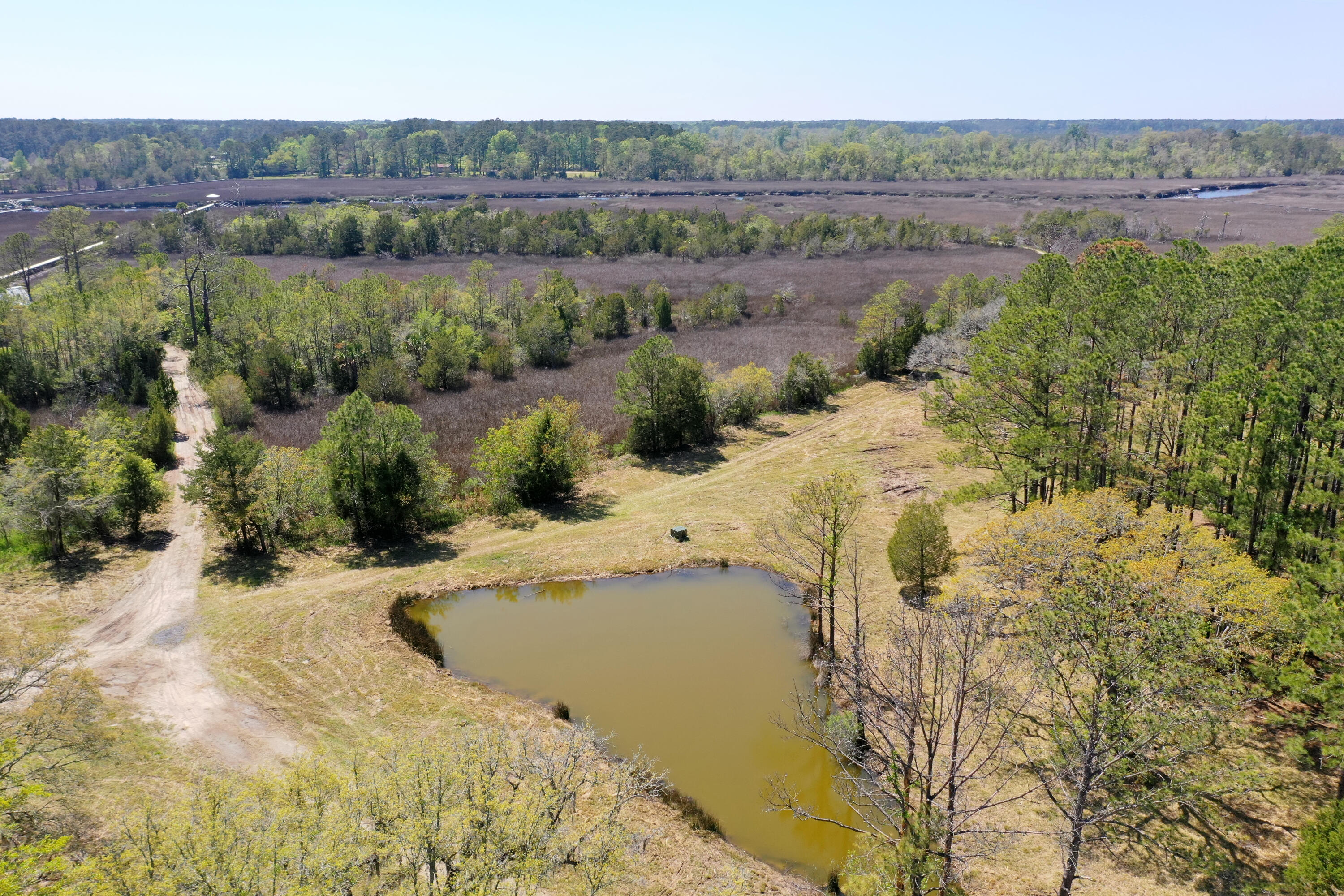 1225 State Rd S-10-98 Awendaw, SC 29429 - Photo 38 of 84 DJI_0869