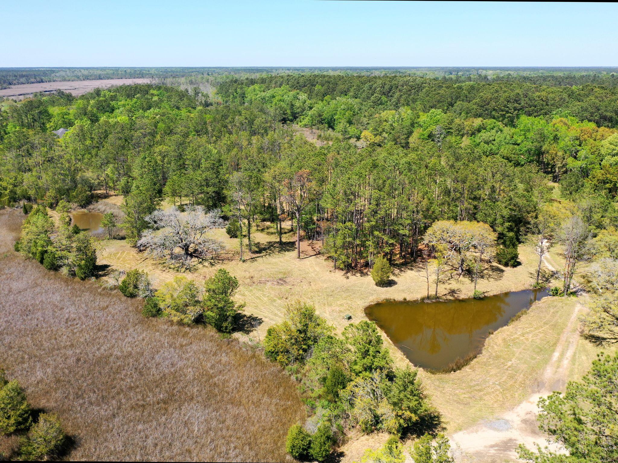 1225 State Rd S-10-98 Awendaw, SC 29429 - Photo 39 of 84 1