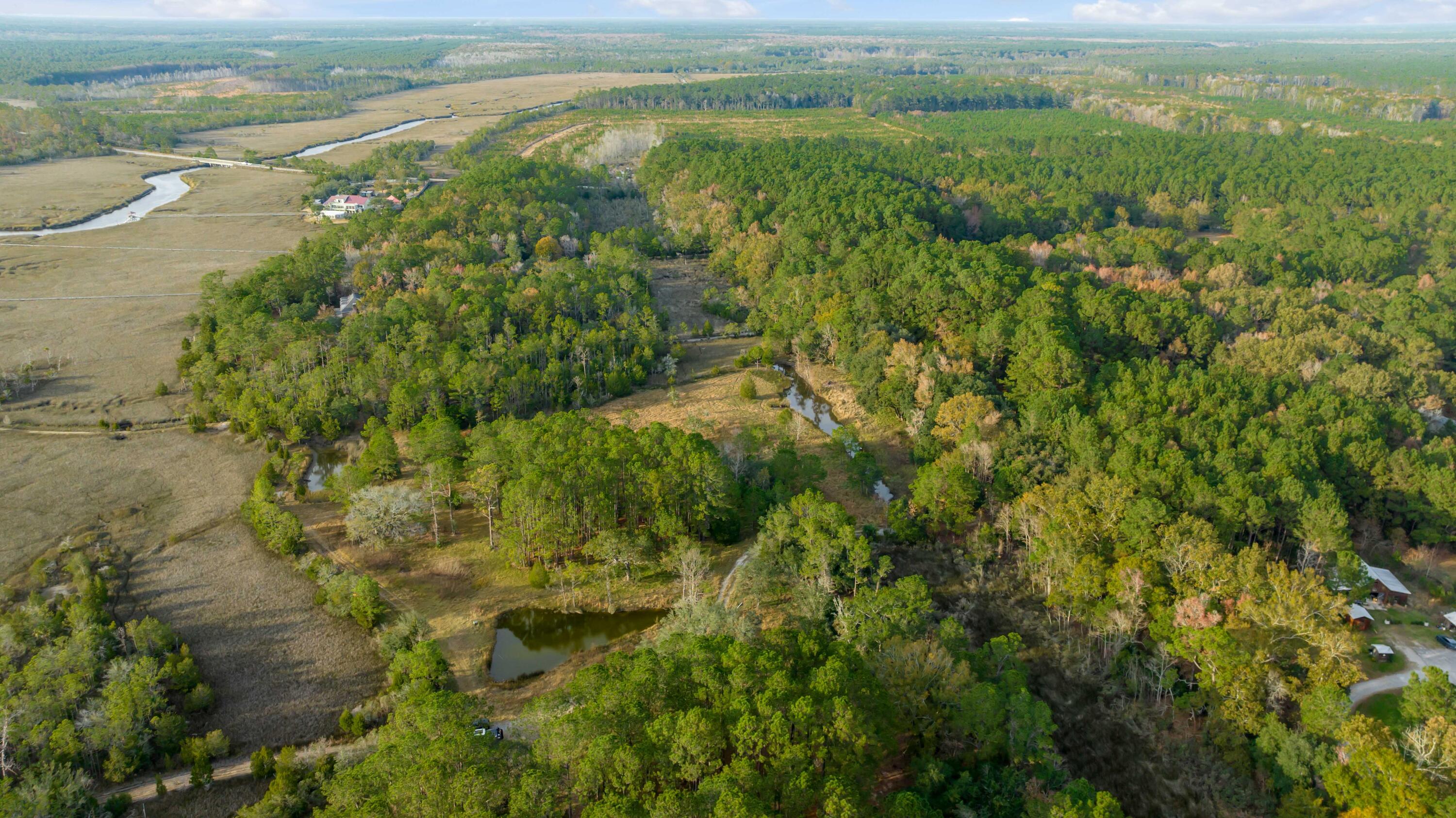1225 State Rd S-10-98 Awendaw, SC 29429 - Photo 4 of 84 Aerial View