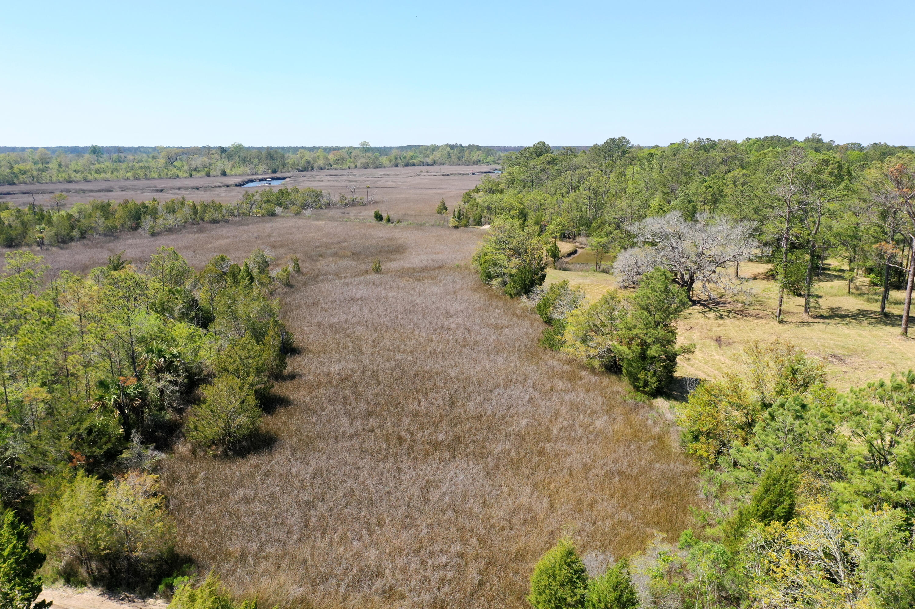1225 State Rd S-10-98 Awendaw, SC 29429 - Photo 48 of 84 DJI_0879
