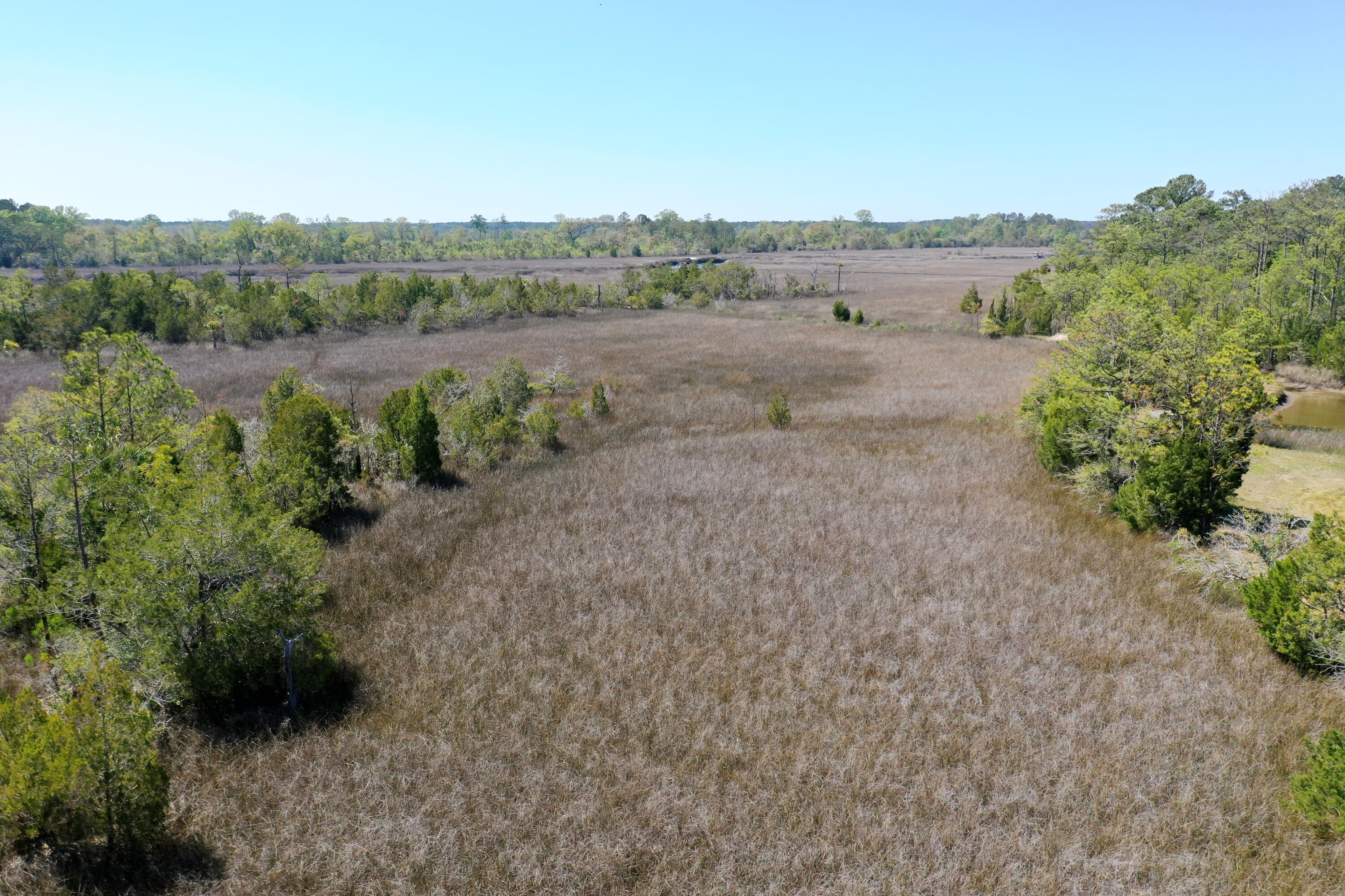 1225 State Rd S-10-98 Awendaw, SC 29429 - Photo 49 of 84 DJI_0880