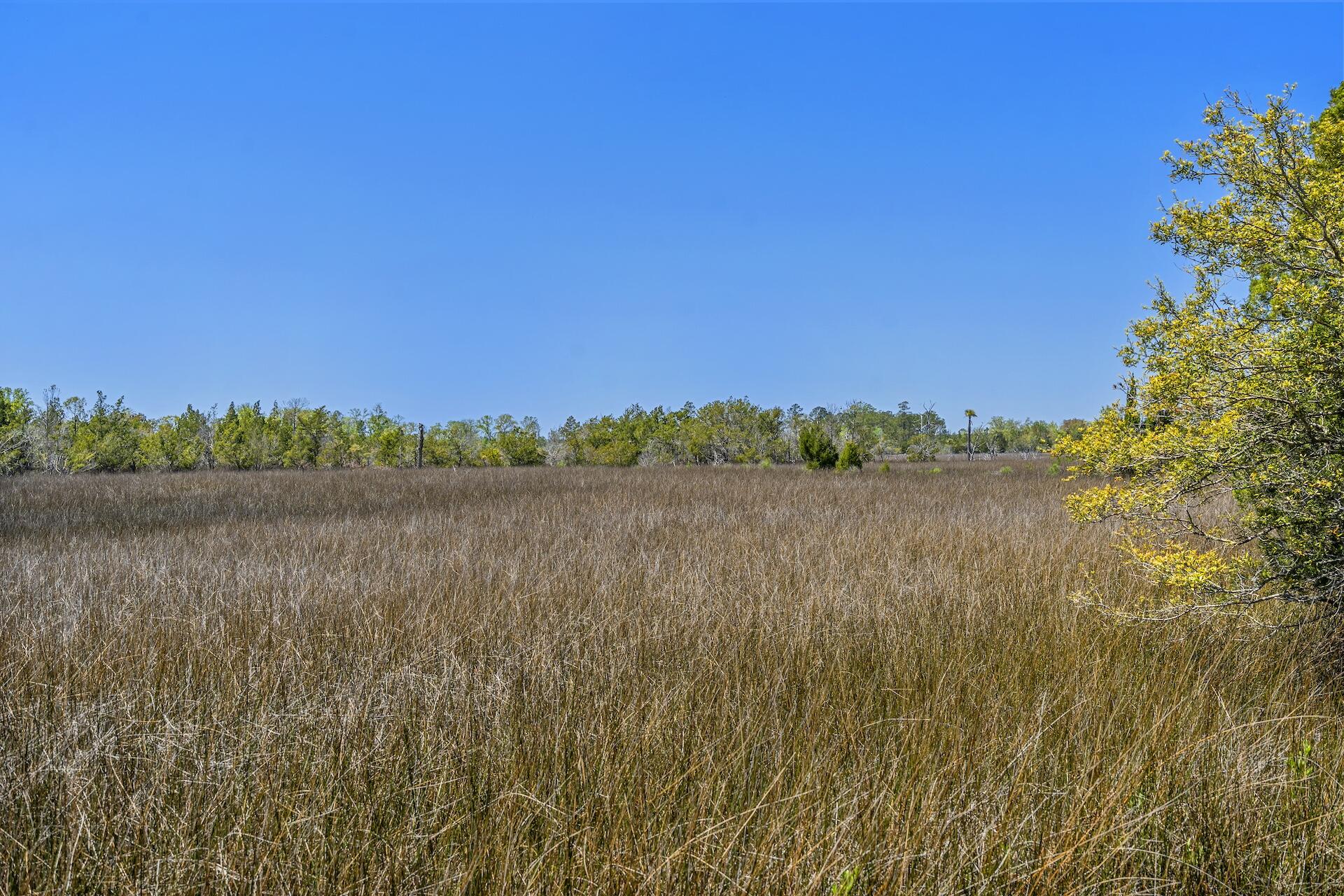 1225 State Rd S-10-98 Awendaw, SC 29429 - Photo 59 of 84 SDH02030