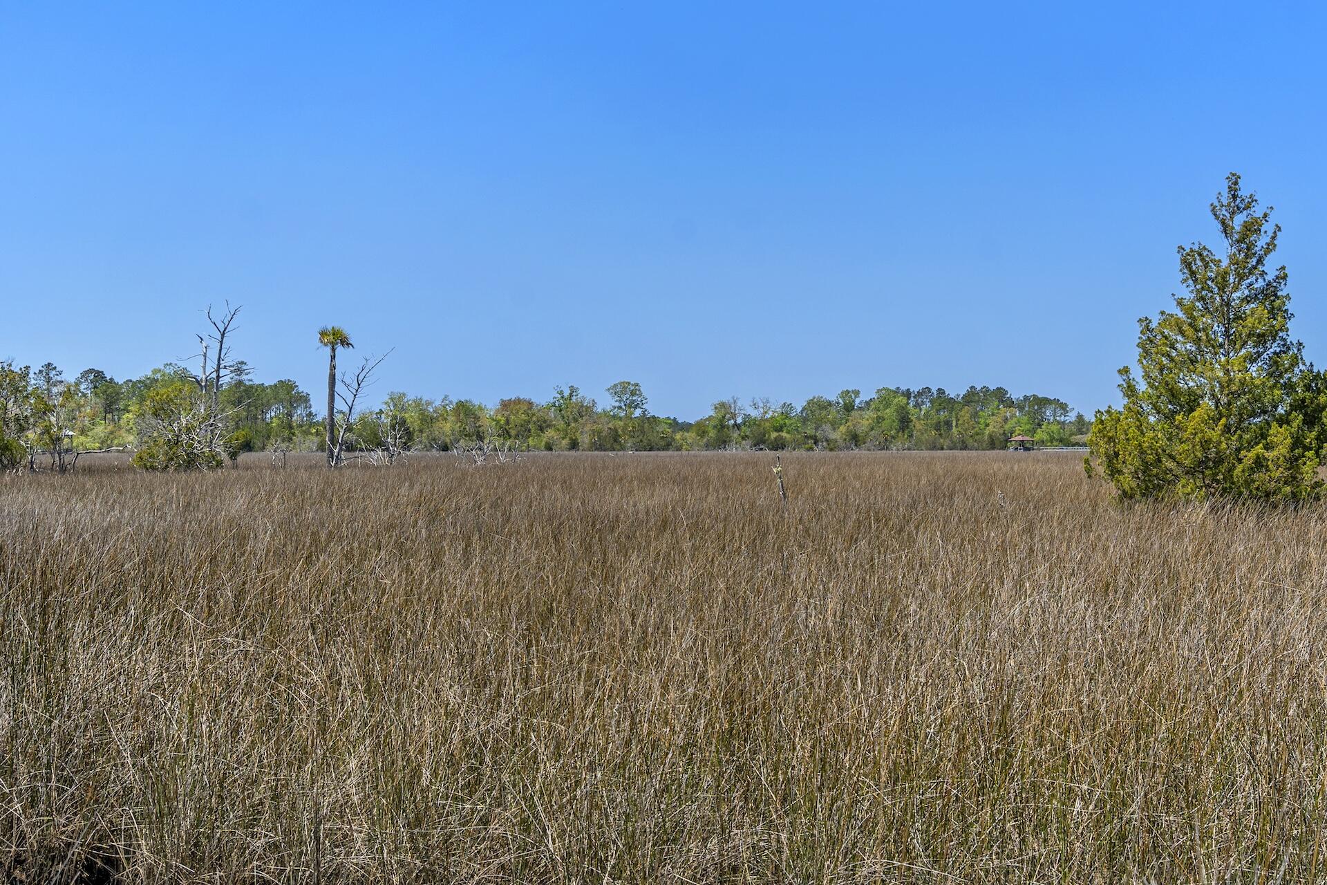 1225 State Rd S-10-98 Awendaw, SC 29429 - Photo 60 of 84 SDH02033