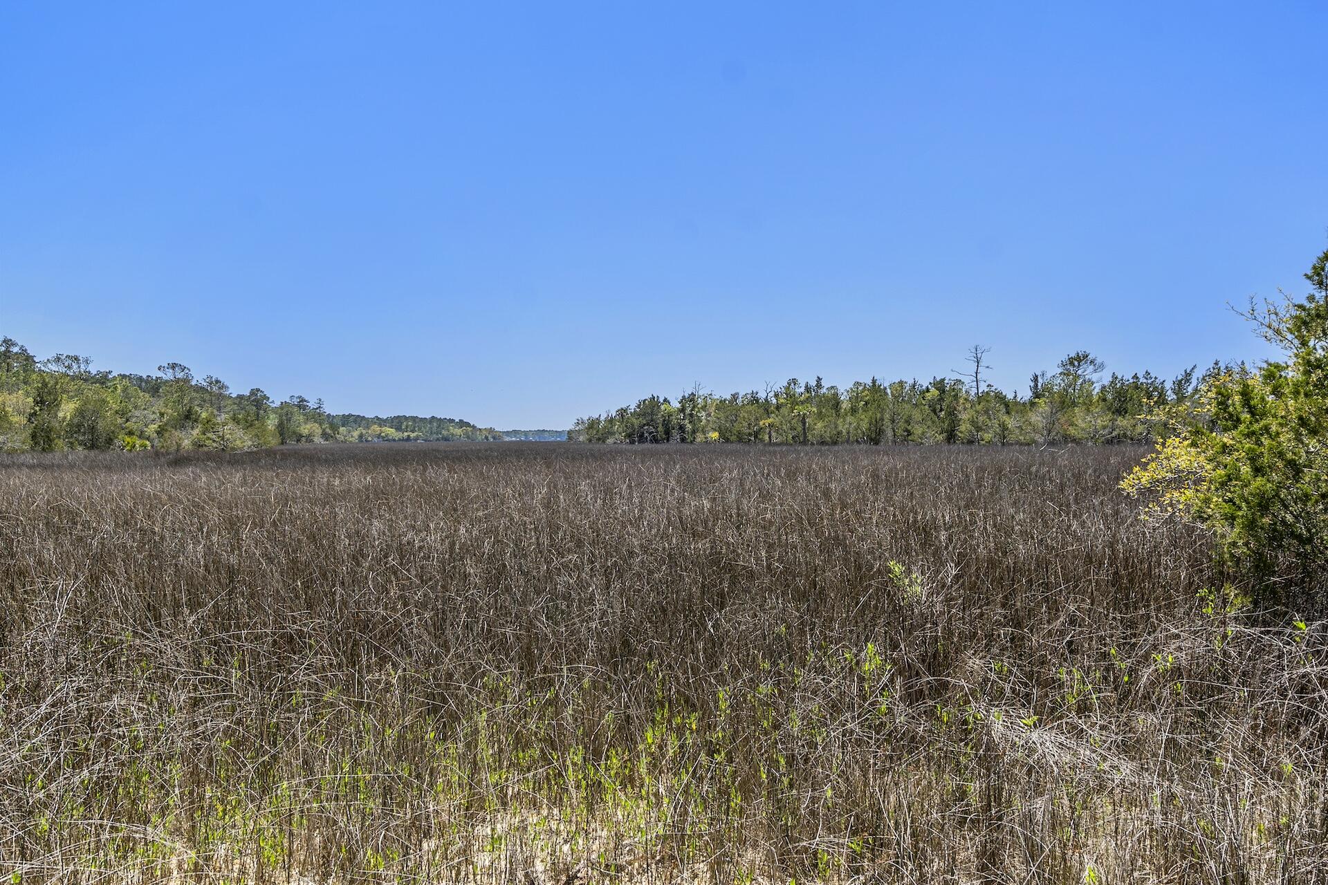 1225 State Rd S-10-98 Awendaw, SC 29429 - Photo 63 of 84 SDH02039