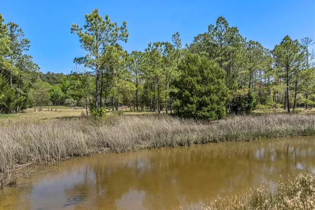 $2,375,000 | 1225 State Rd S-10-98, Awendaw, SC 29429