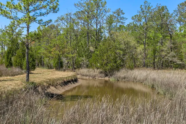 $2,375,000 | 1225 State Rd S-10-98, Awendaw, SC 29429