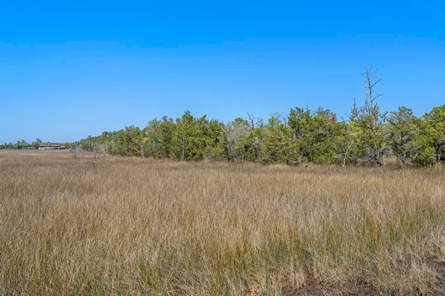 $2,375,000 | 1225 State Rd S-10-98, Awendaw, SC 29429