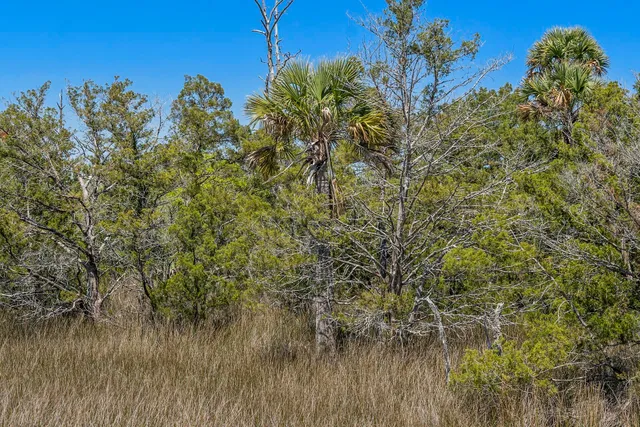 $2,375,000 | 1225 State Rd S-10-98, Awendaw, SC 29429