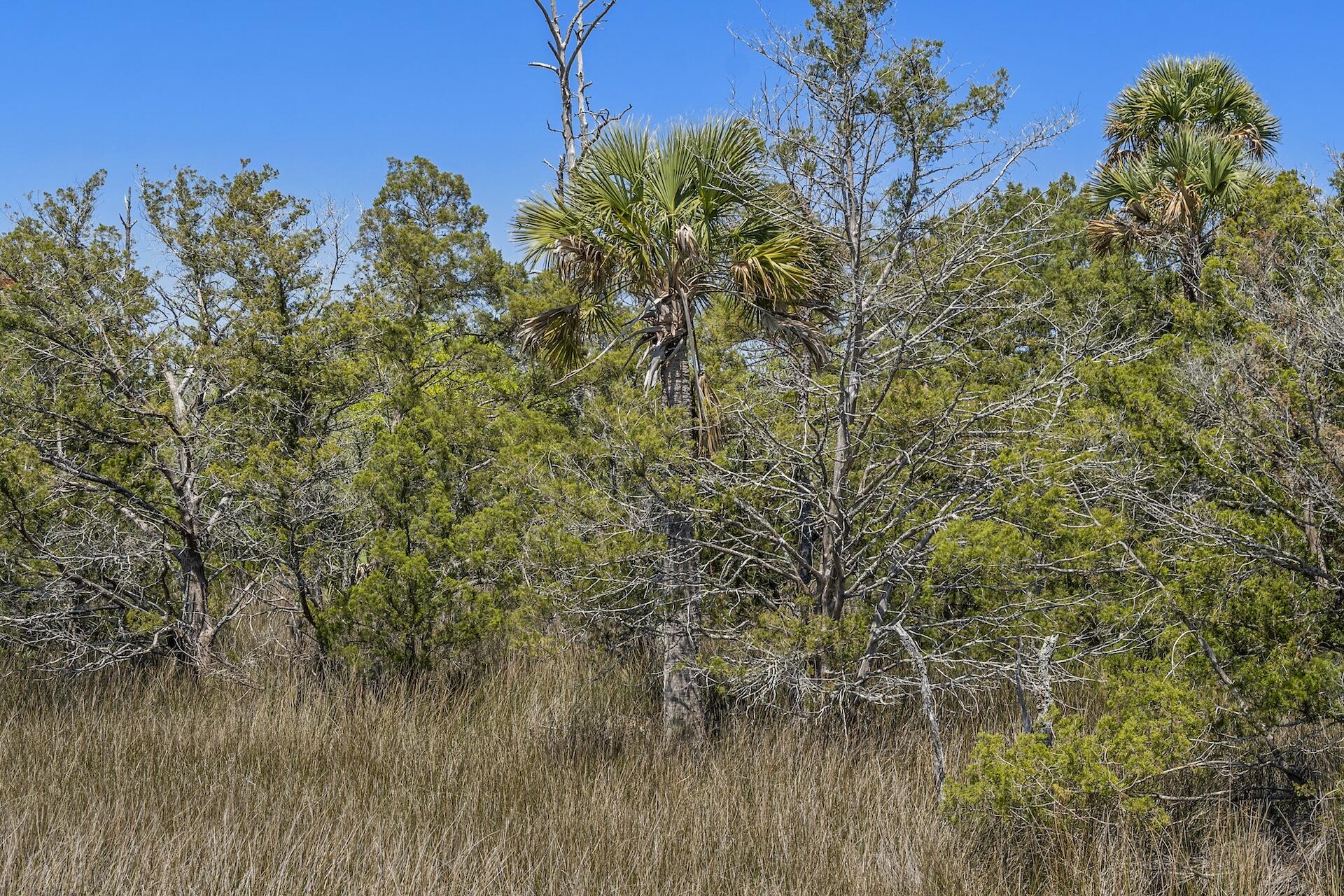 1225 State Rd S-10-98 Awendaw, SC 29429 - Photo 79 of 84 SDH02087