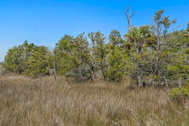 $2,375,000 | 1225 State Rd S-10-98, Awendaw, SC 29429