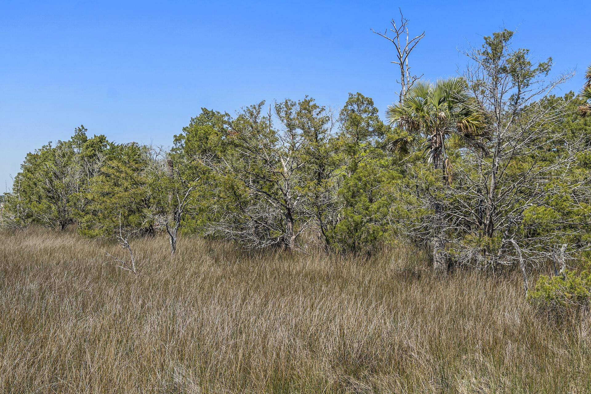 1225 State Rd S-10-98 Awendaw, SC 29429 - Photo 80 of 84 SDH02090