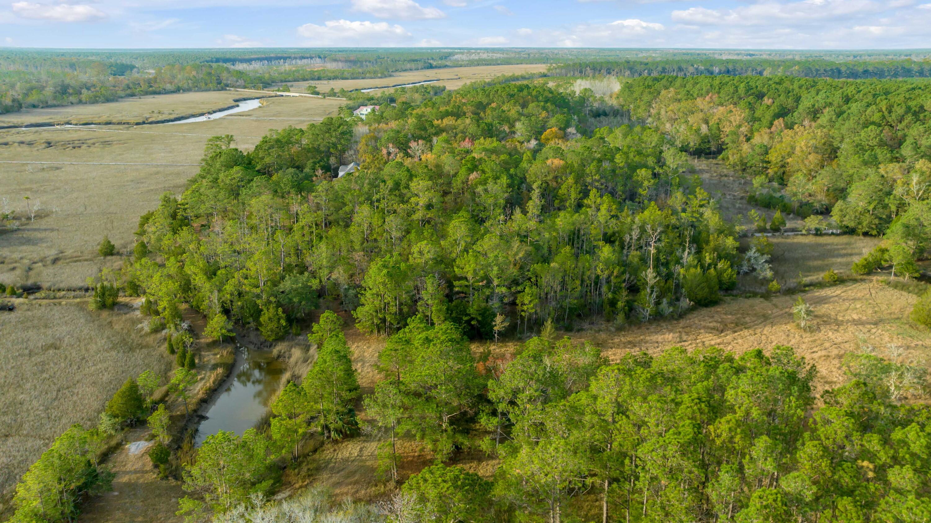 1225 State Rd S-10-98 Awendaw, SC 29429 - Photo 8 of 84 Aerial View