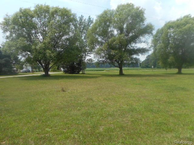 2180 Plank Road Dundee, MI 48131 - Photo 5 of 22 5.JPG
