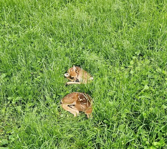 $220,000 | 2654 Green Valley Road, Vevay, IN 47043