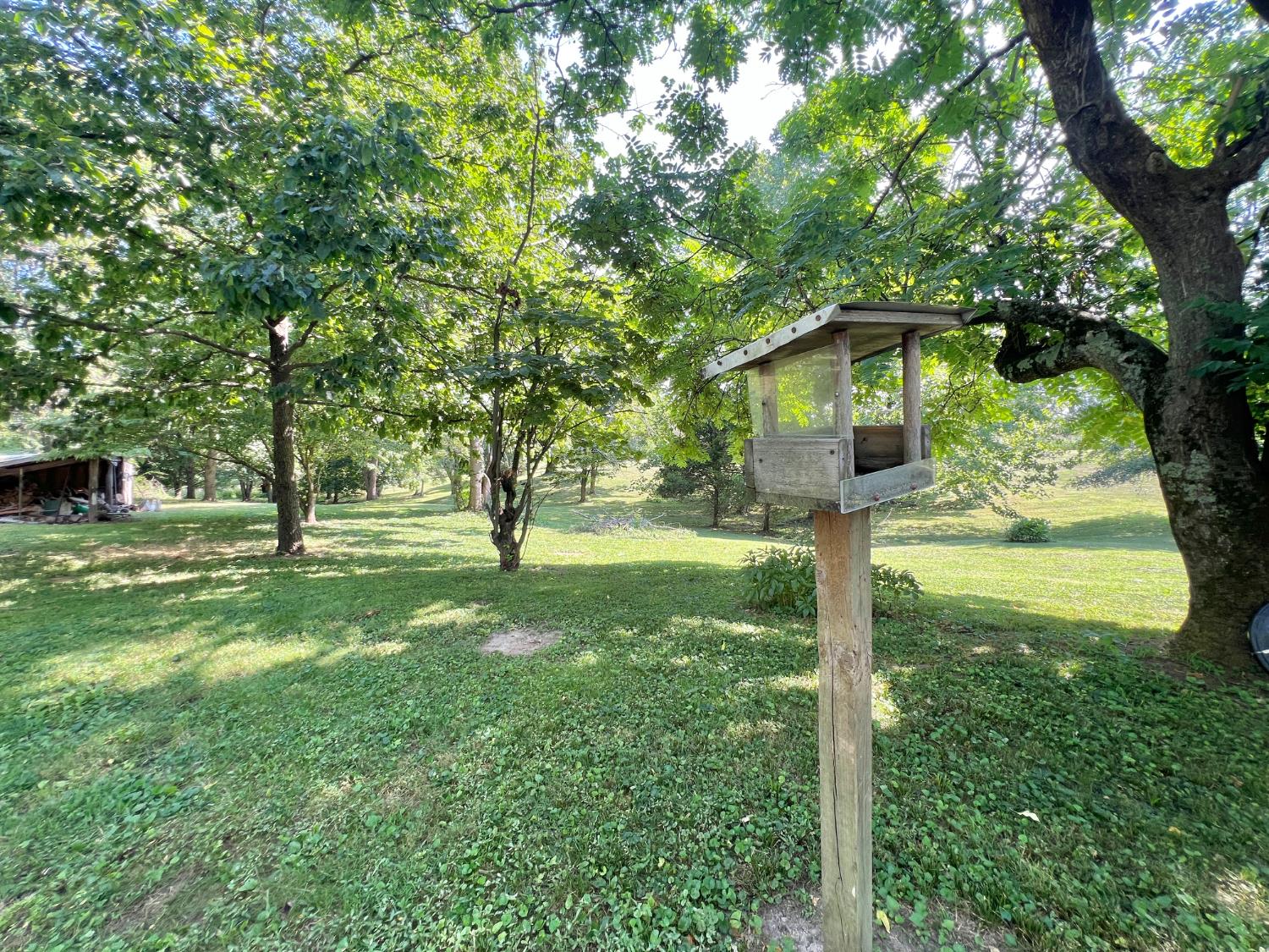 2654 Green Valley Road Vevay, IN 47043 - Photo 21 of 48 Pond Potential