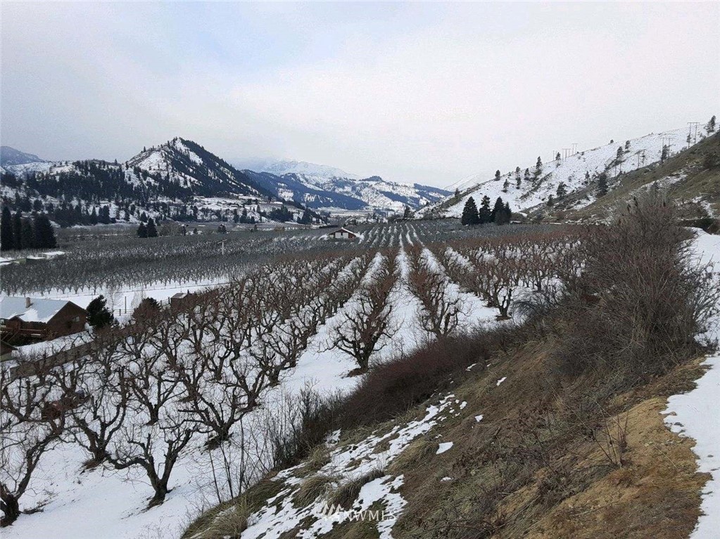 0 Hay Canyon Road Cashmere, WA 98815 - Photo 1 of 10 Gallery Image 1