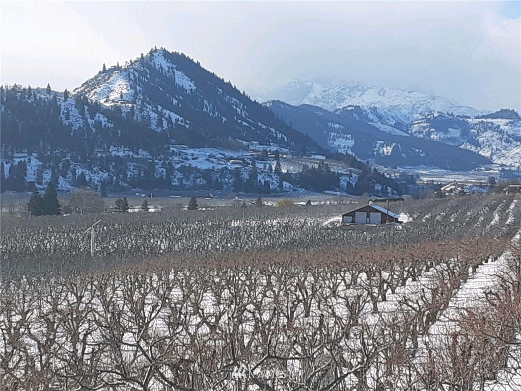 0 Hay Canyon Road Cashmere, WA 98815 - Photo 2 of 10 Gallery Image 2
