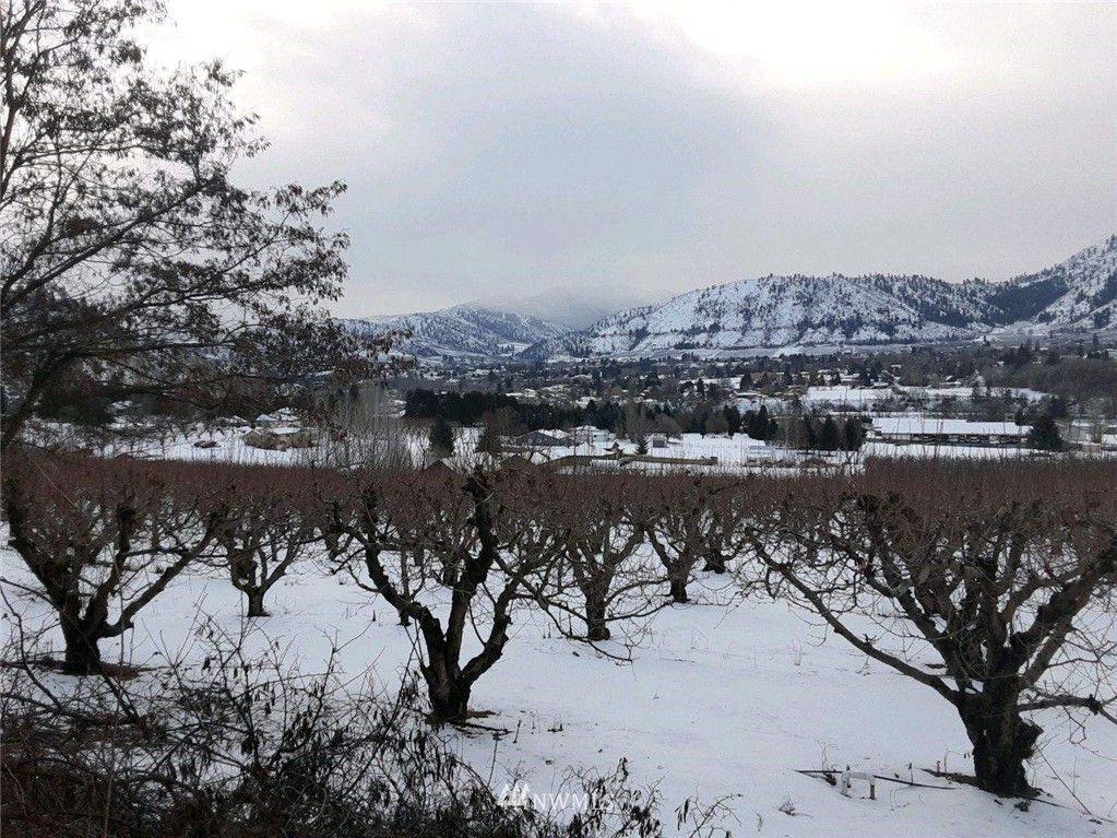 0 Hay Canyon Road Cashmere, WA 98815 - Photo 3 of 10 Gallery Image 3