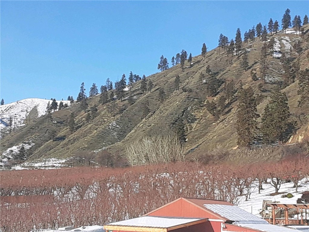 0 Hay Canyon Road Cashmere, WA 98815 - Photo 4 of 10 Gallery Image 4