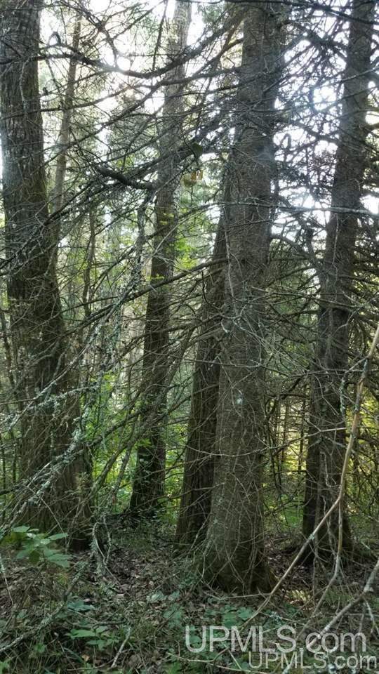 Tbd Fishing Site Road, Unit 1 Amasa, MI 49903 - Photo 11 of 19