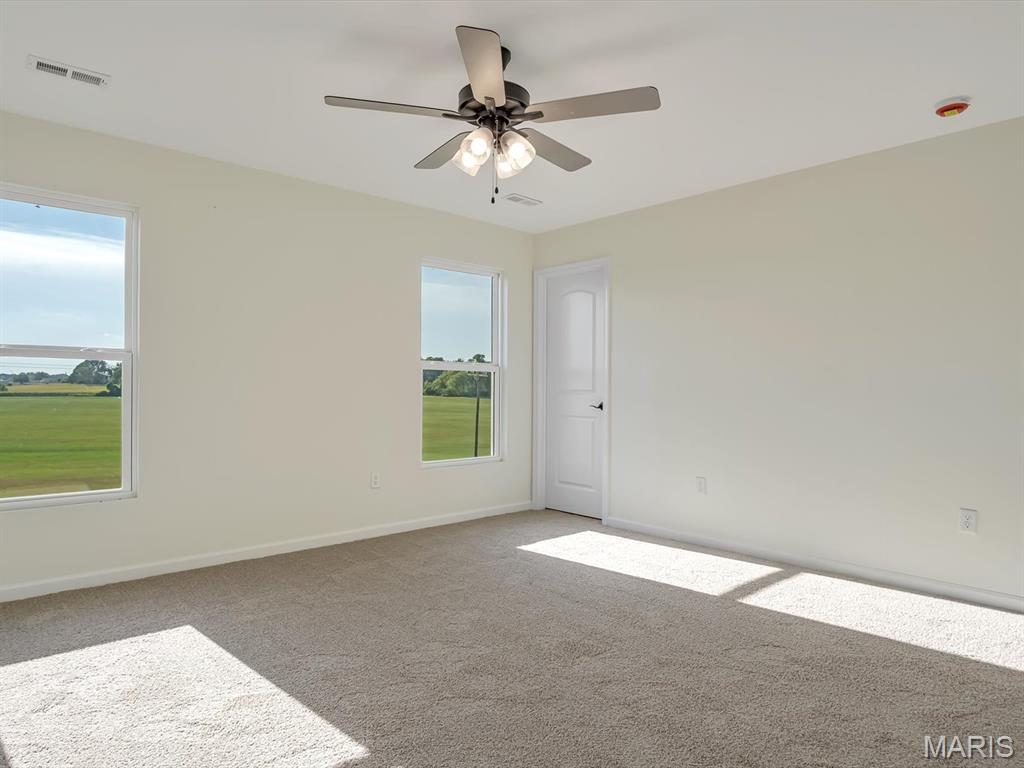 209 Ashurst Lane O'Fallon, IL 62269 - Photo 29 of 37