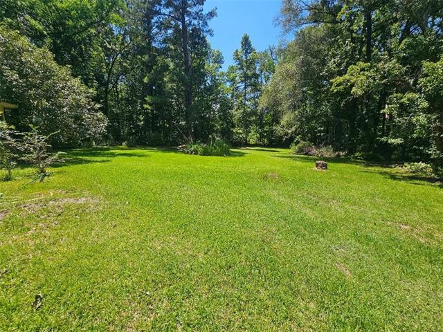 5 Azalea Drive Winnfield, LA 71483 - Photo 18 of 18