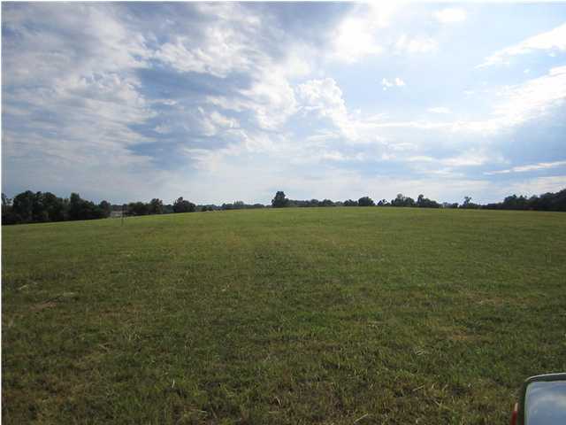 1 Doe Run Ekron Road Brandenburg, KY 40108 - Photo 4 of 7 Additional Photo