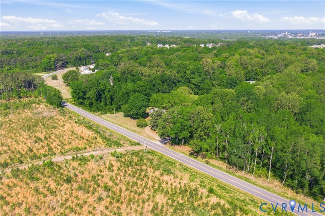8100 Sandy Ridge Road Hopewell, VA 23860 - Photo 30 of 36 Expansive undeveloped land featuring mature trees